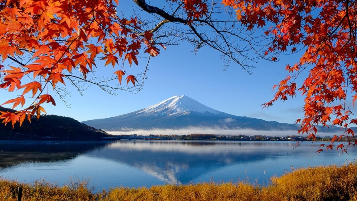 Jepang
